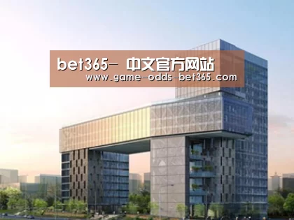 案例展示四