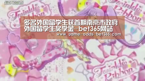 多名外国留学生获首期南京市政府外国留学生奖学金-bet365网站(图2) bet365网站